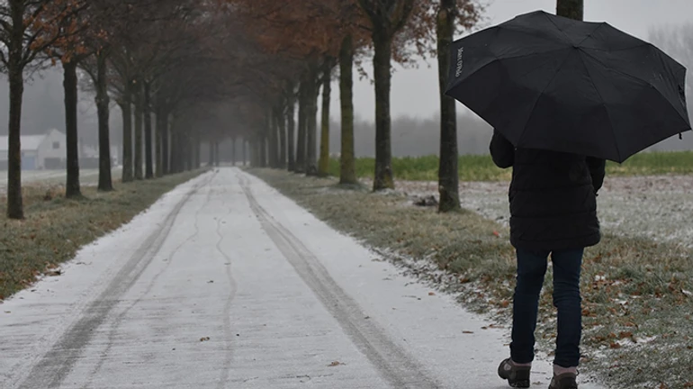 На Новый год будет тепло – синоптик