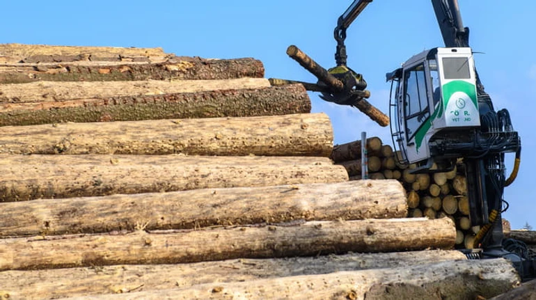 Неизбывный мораторий: как лес-кругляк ведет Украину к новому конфликту с ЕС