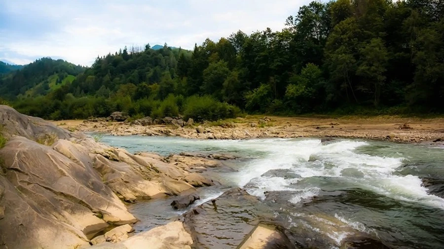 На Франковщине разыскивают ребенка, которого унесло течением реки