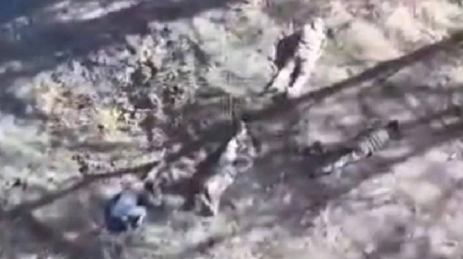 Russians execute five captured Ukrainian soldiers near Vuhledar, Donetsk Oblast