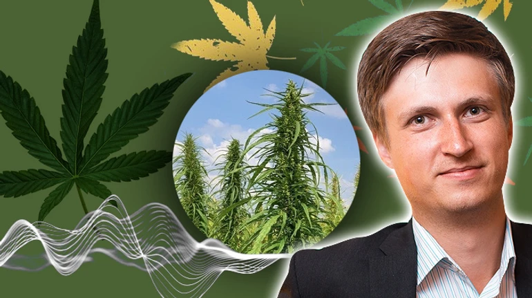 Не только медицинский: как государство изменило рынок технического каннабиса и что с ним можно делать?