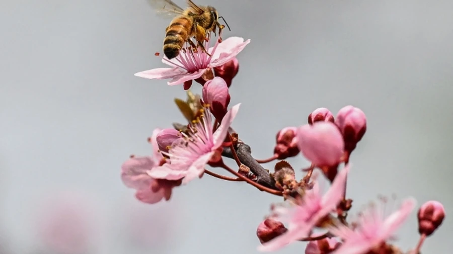 Синоптики обіцяють теплу суху і погоду, але подекуди пройде невеликий дощ