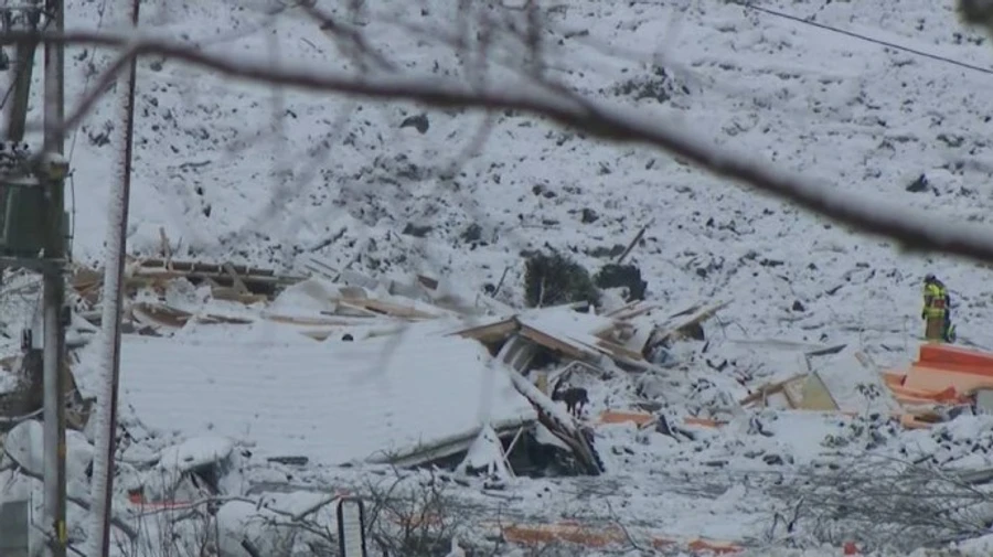 У Норвегії досі шукають 10 людей, зниклих після масштабного зсуву ґрунту