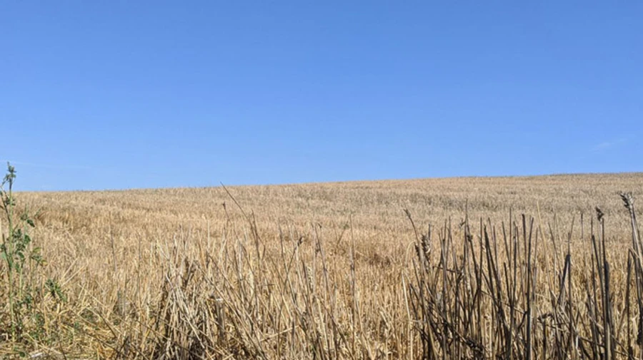 Репетиция осени вытеснит гребень высокого атмосферного давления – синоптик