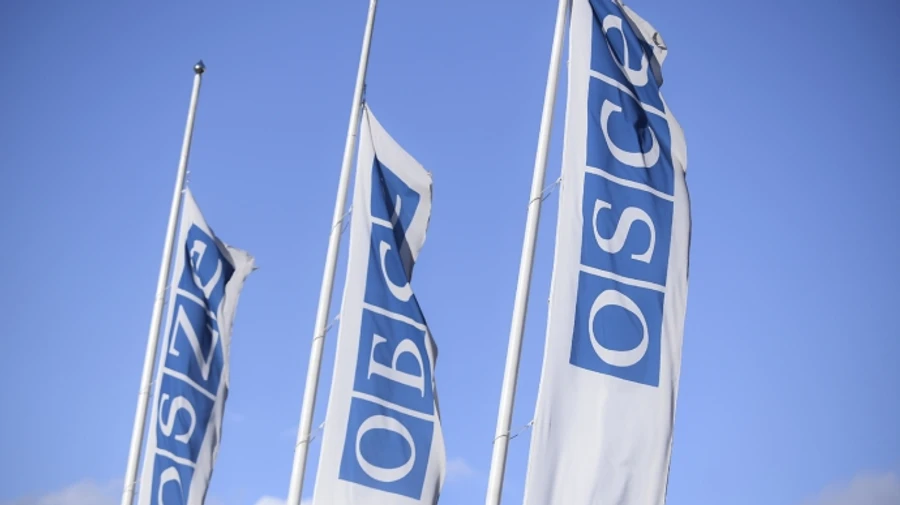 Польща виступила проти використання Росією ОБСЄ як майданчику для російської пропаганди