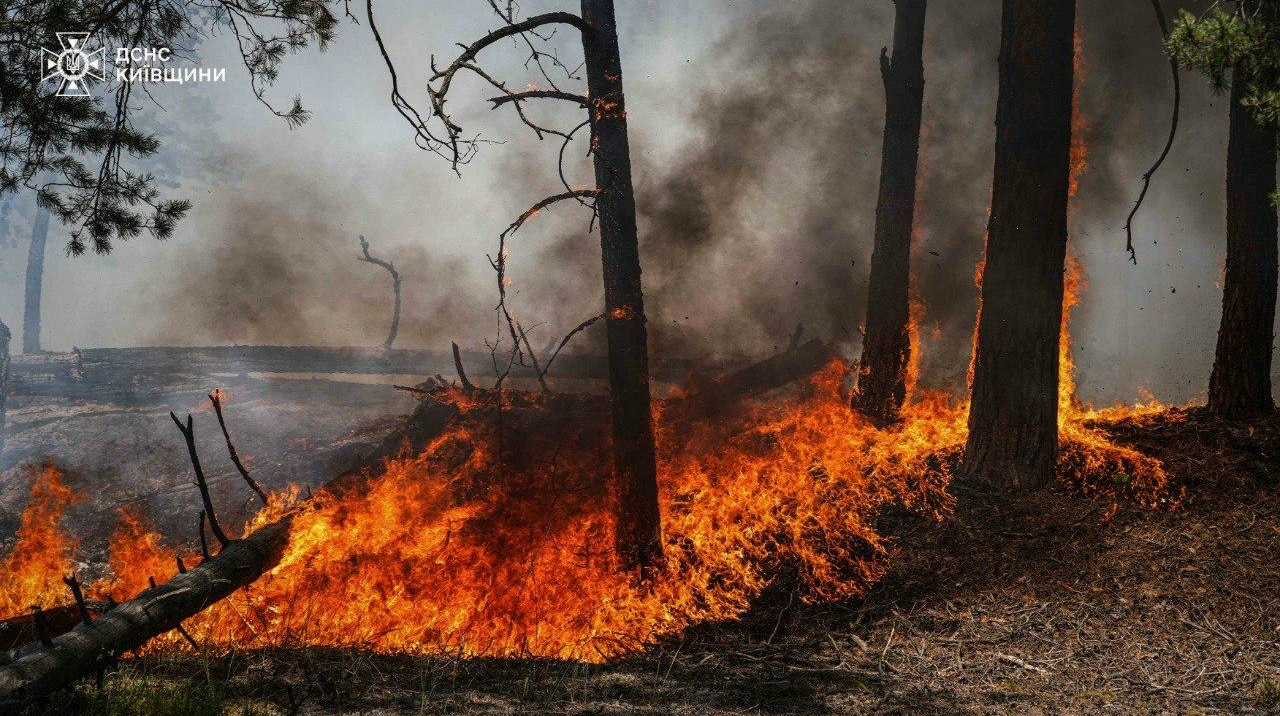 На Київщині триває пожежа в лісах Чорнобильської зони відчуження