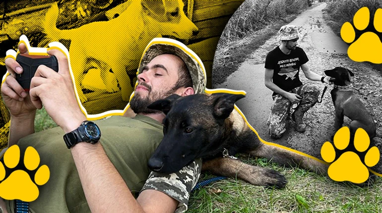 Кіл прийняв на себе перші осколки, врятував мені життя. А сам загинув. Історії про дружбу між бійцями та собаками на передовій