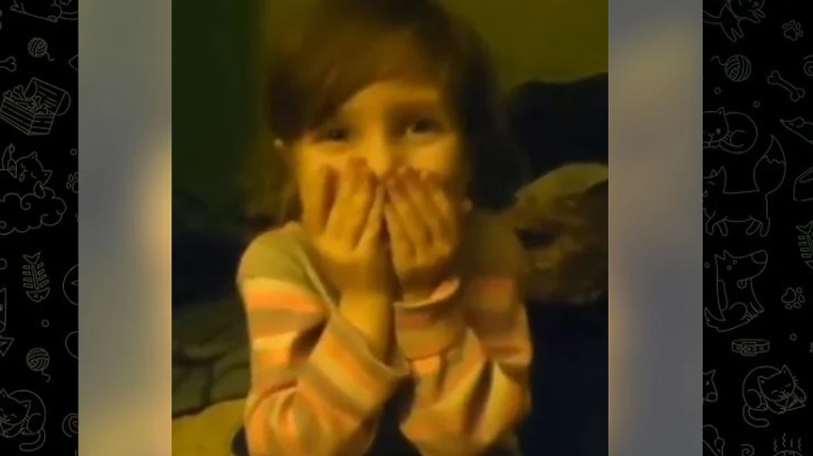 Girl who was separated from her mother at Azovstal has been reunited with her relatives