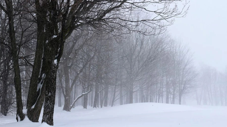Синоптики оголосили штормове попередження через вітер