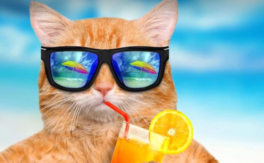 На Украину обрушится тропическая жара