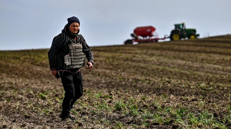 Одна з областей може втратити 30-40% озимих: Мінекономіки оцінило стан посівів