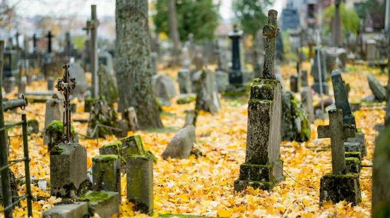 Несподіваний доказ: у США шматок моху, виявлений серед останків, допоміг засудити розкрадачів могил