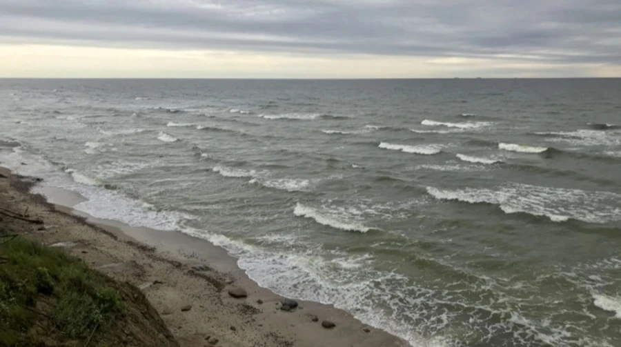 Страны Балтийского моря создадут оперативную группу, чтобы защититься от дронов