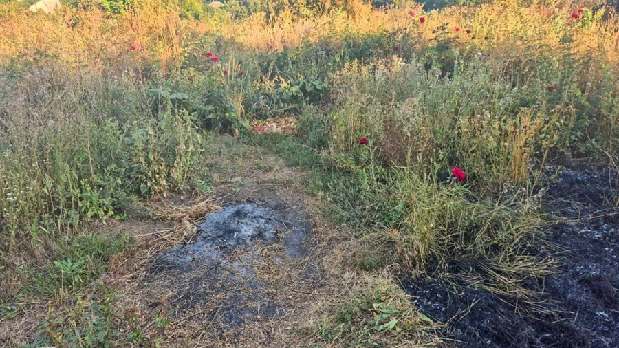 В Румынии на сельхозугодья упали обломки, вероятно, беспилотника