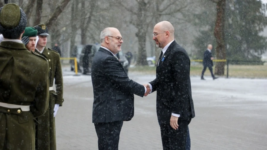 Ukraine's PM discusses joint defence enterprises with Estonian president