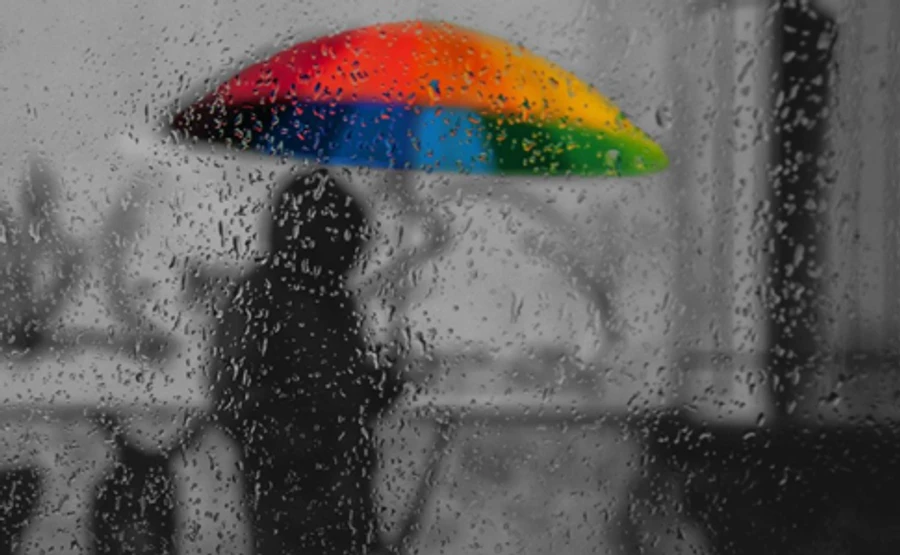 Снігу не бачити: вихідні засипле дощем