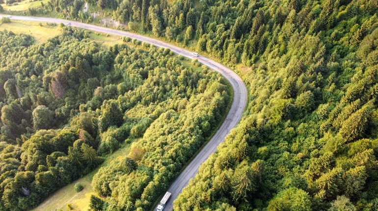 Львовщина передала 176 га леса для курорта владельца ОККО