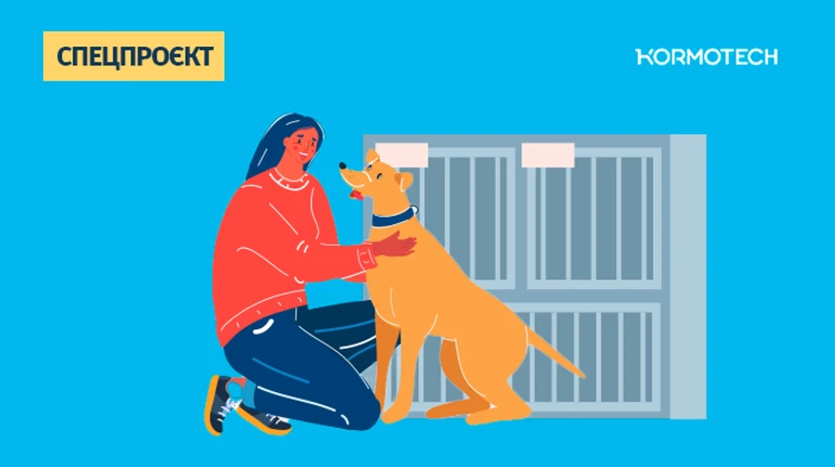 Как помочь собакам, страдающим от войны?