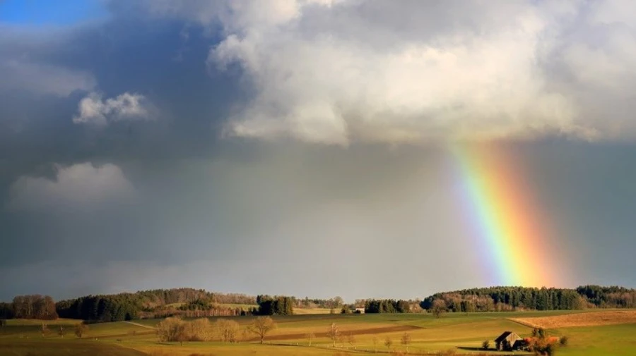 Погода у неділю: синоптики розповіли, де дощитиме