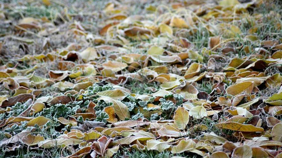 На вихідних буде морозно, але сухо 