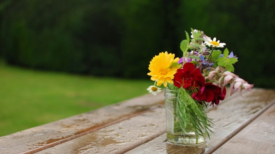 В Україні збережеться прохолодна погода, подекуди – дощ