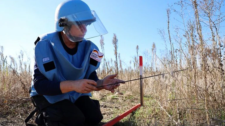 День на минном поле. Как люди, машины и собаки делают безопасными поля Николаевщины