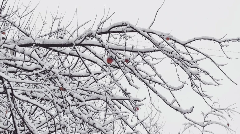 Синоптики прогнозують морози до -19°