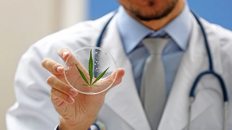 Главные новости пятницы и ночи: легализация медицинского каннабиса, угрозы России