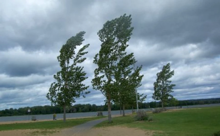 Українців попереджають про штормовий вітер і грози
