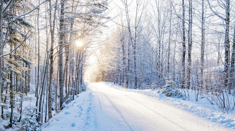 Морози не відступають: у понеділок в Україні до -20°