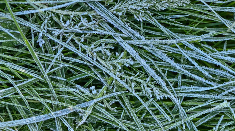 Синоптики попередили про приморозки в Україні, які зашкодять ранньому квітінню