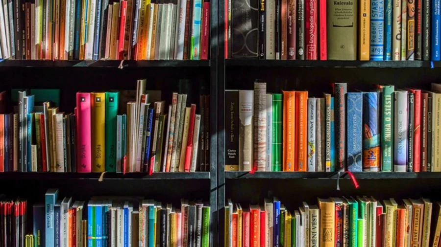 В Украину запретили ввозить 3 детские книги из России