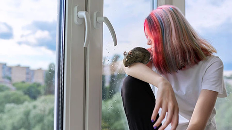 Киберполиции открыла электронный ящик для обращений о группах смерти