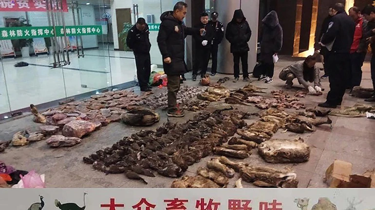 Эксперты ВООЗ в Ухане нашли важные ключи к разгадке истоков коронавируса