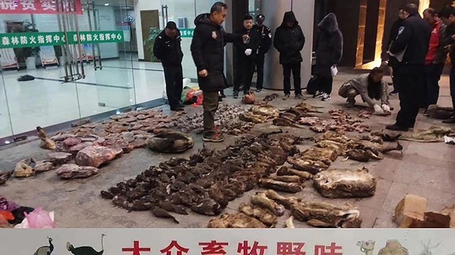 Эксперты ВООЗ в Ухане нашли важные ключи к разгадке истоков коронавируса