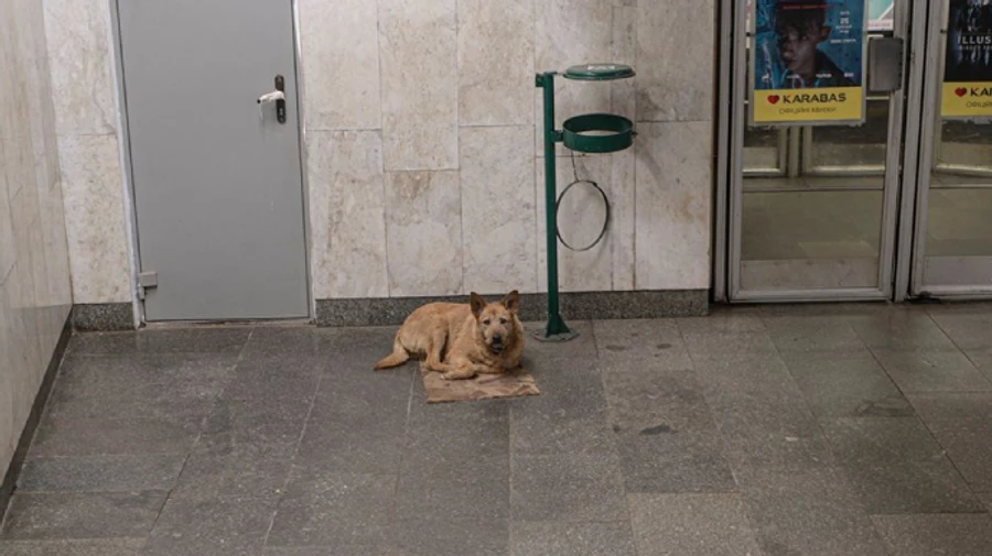 Метро до 22 травня не відкриють – Офіс президента