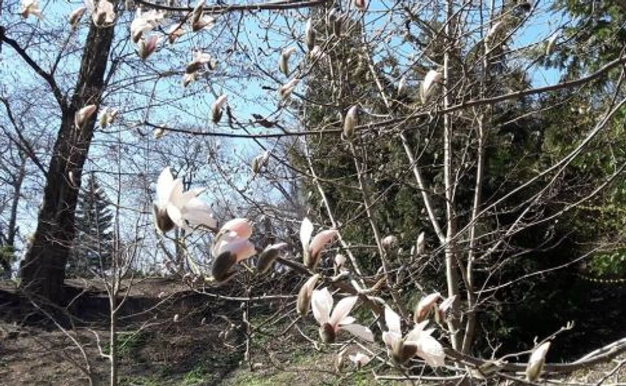 Синоптик прогнозує мінус і навіть мокрий сніг: Час охолонути