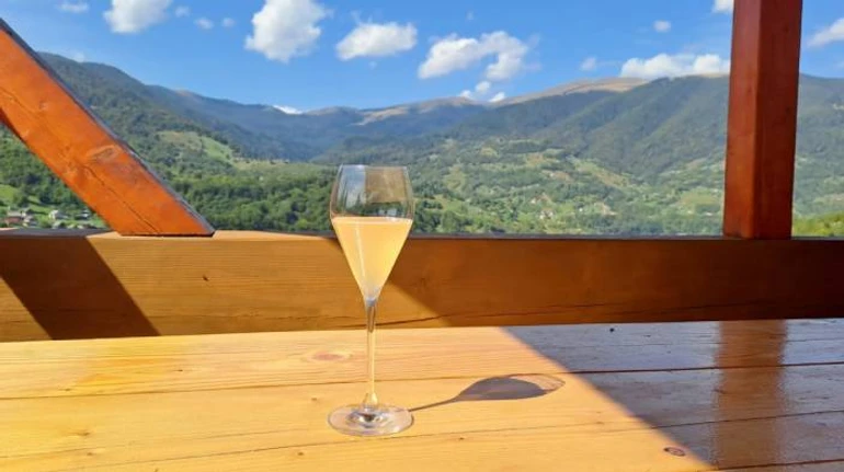 Любовь в Квасах. Как основатель пивоварни Цыпа осуществил мечту жены о собственном игристом вине