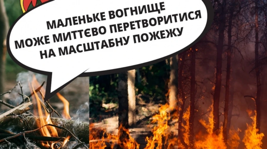 Женщина сгорела, сжигая сухостой на Харьковщине