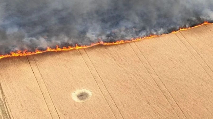 Держдеп заявив про огидну тактику Росії і просте рішення щодо зерна