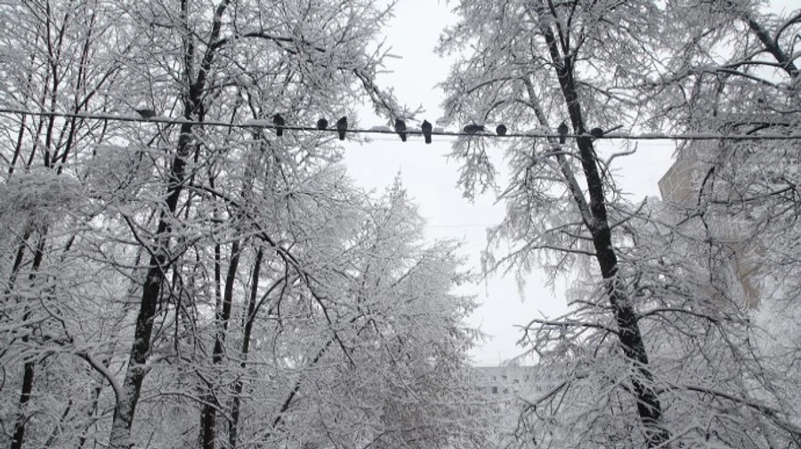 Из-за непогоды обесточено более 60 населенных пунктов в трех областях