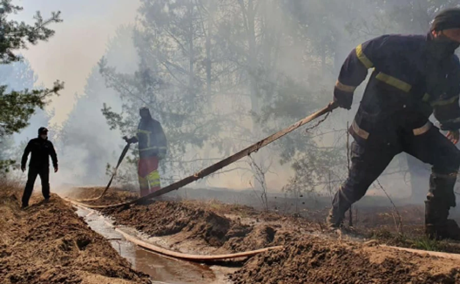 Чернобыльские пожары: прорыто 863 км минерализованных полос, сброшено 236 тонн воды