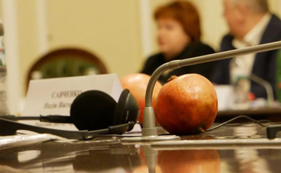 Савченко принесла на комитет гранаты