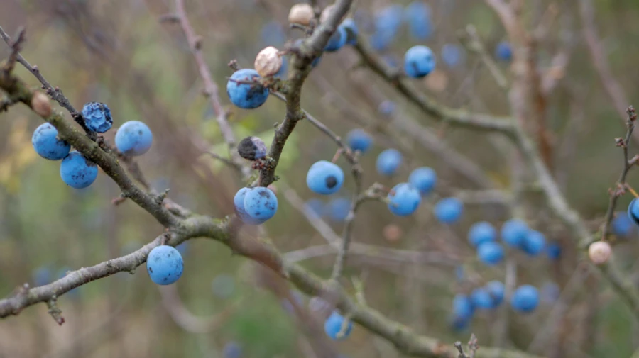 Морозець поступиться місцем теплому повітрю до четверга