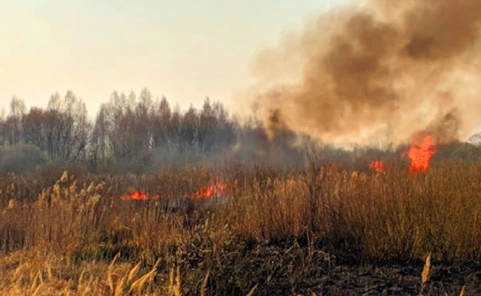 Кабмін пропонує жорсткіше карати паліїв трави: аж до криміналізації
