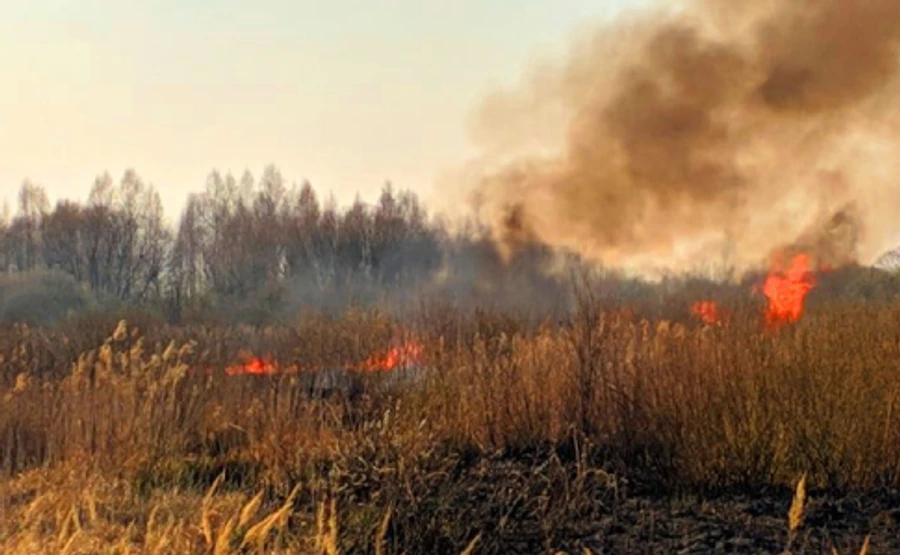 Кабмін пропонує жорсткіше карати паліїв трави: аж до криміналізації