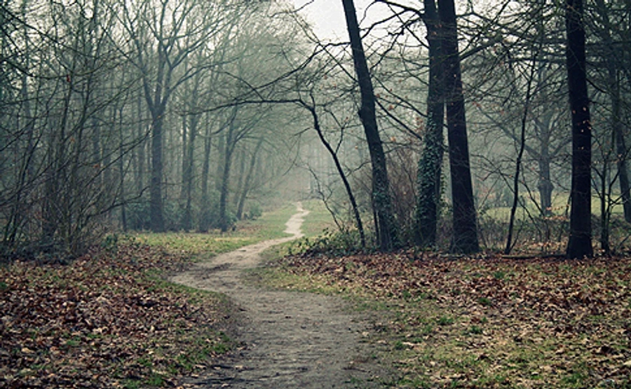 У неділю в Україні сухо й навіть сонячно, але холодніше