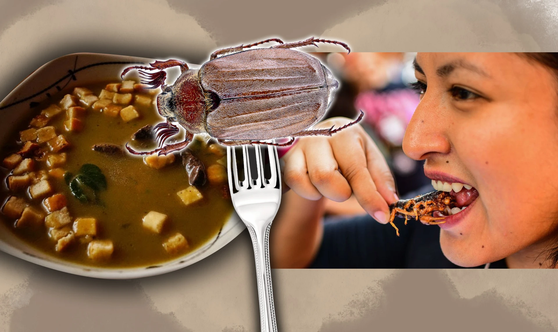 Суп из майских жуков? Почему насекомые могут и должны потеснить мясо на нашем столе