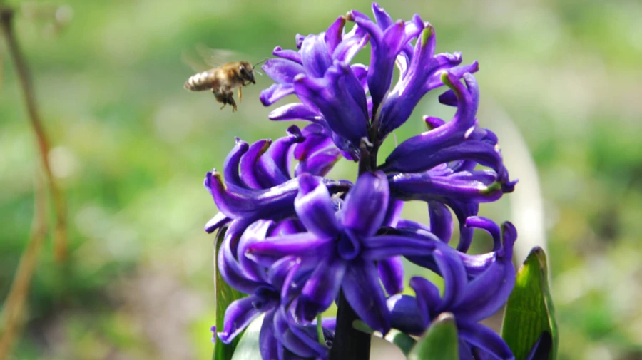 Останній день квітня нарешті принесе тепло до +20°