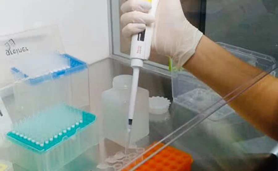 В США на COVID-19 уже протестовали 8 миллионов граждан